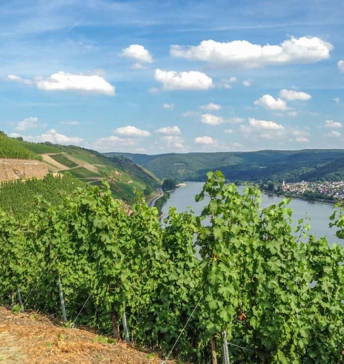 Het Romantische Rijndal: Van Drachenfels en Lorelei!