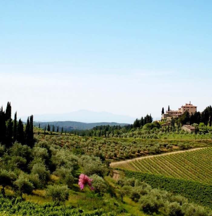 Agriturismo ‘Casa Mezzuola’: Authentiek pareltje in de Chianti!