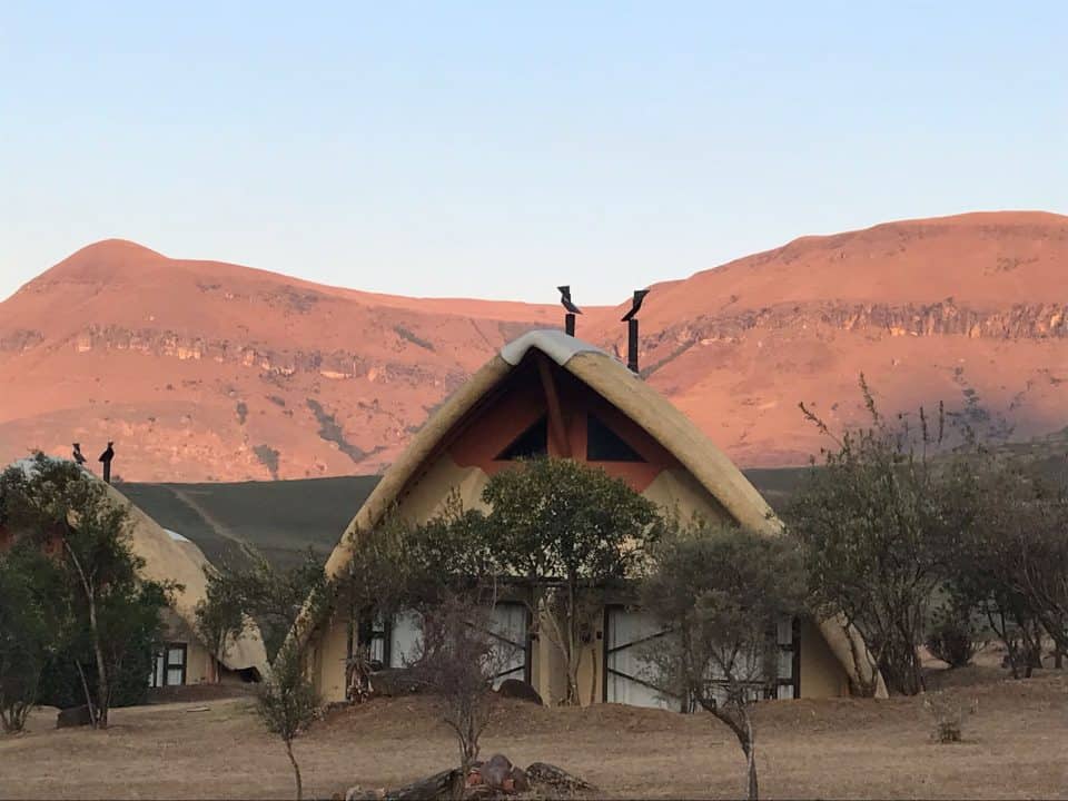 Didima Camp blog Zuid-Afrika
