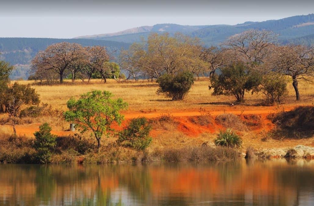 Swaziland: Waarom je dit minilandje niet over mag slaan!