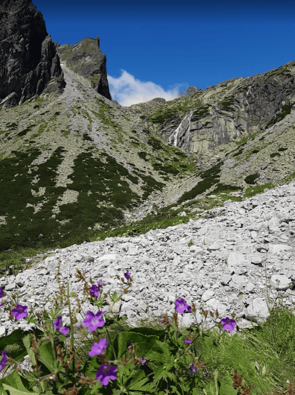 Hoge Tatra Slowakije zomer
