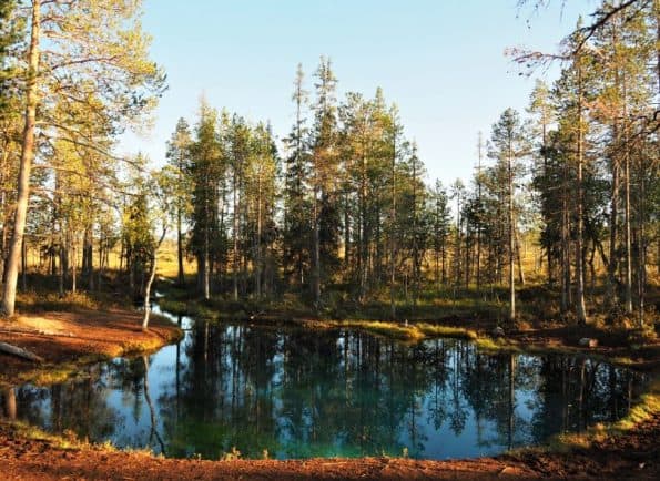 Grödkallan Zweeds Lapland in de zomer