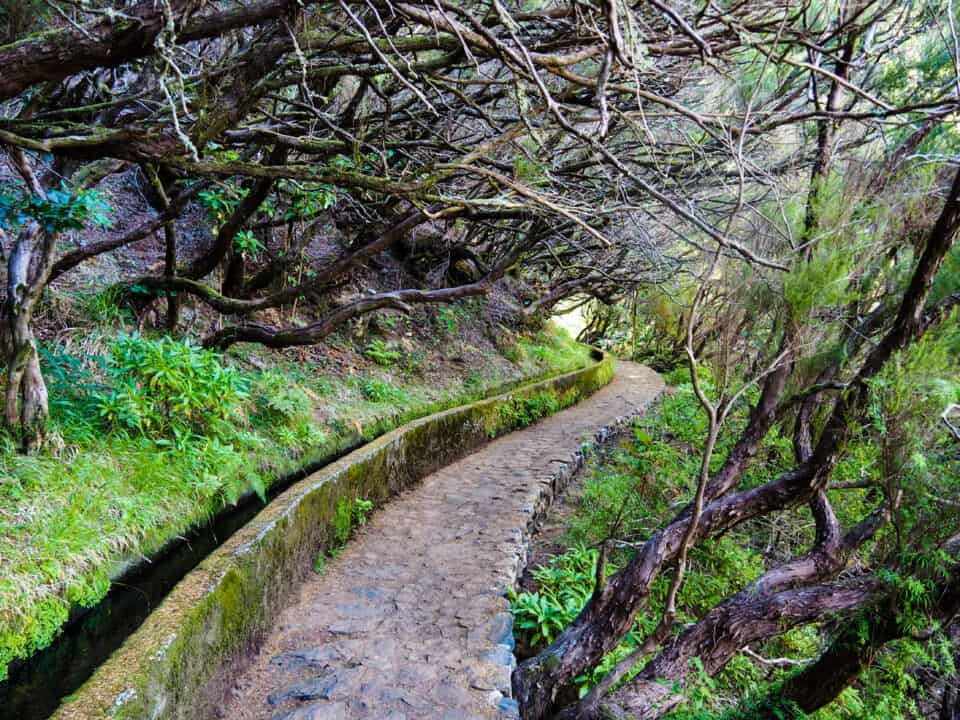 Wandelroutes op Madeira tips