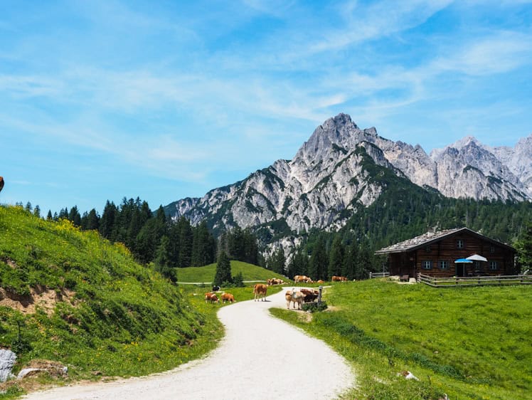 Berchtesgaden Litzlalm e-mountainbike