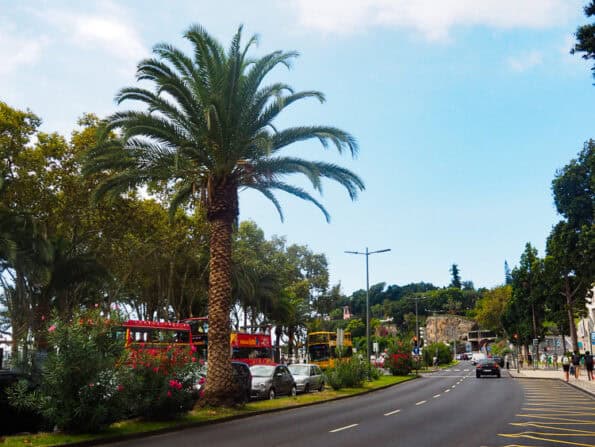 Stadswandeling Funchal