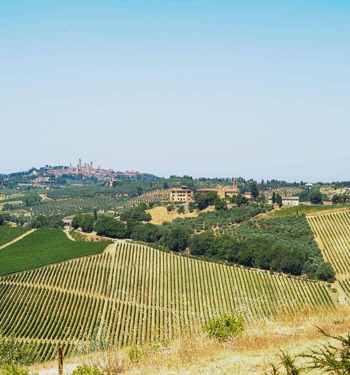 Fattoria Il Piano: Wijnproeverij in de Toscaanse Chiantistreek