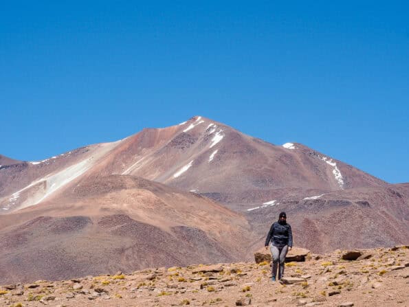 Altiplano Hike Atacama