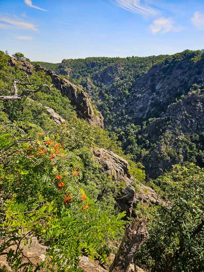 De Harz: 25x zien en doen in het noorden van deze regio